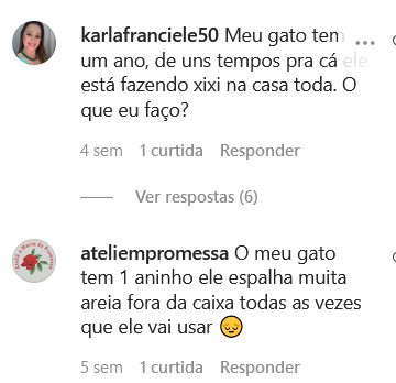 meu gato esta fazendo xixi na casa